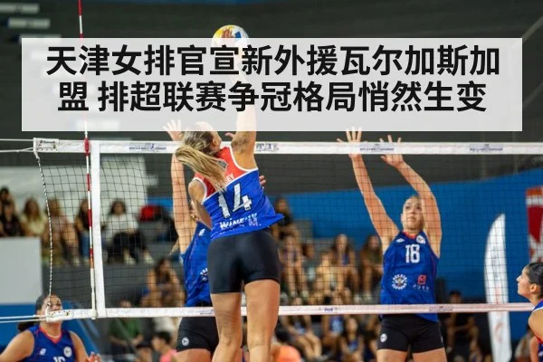 天津女排官宣新外援瓦尔加斯加盟 排超联赛争冠格局悄然生变